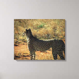 Toile Samburu Cheetah
