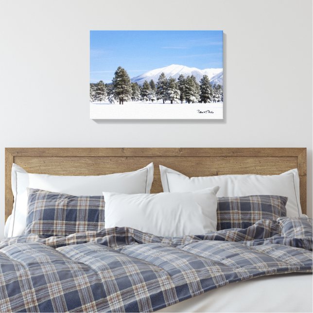 Toile San Francisco Pics En Arizona Neige Photo (Insitu(Chambre))