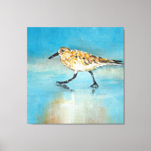 Toile Sandpiper North American Wading Shorbird Canvas
