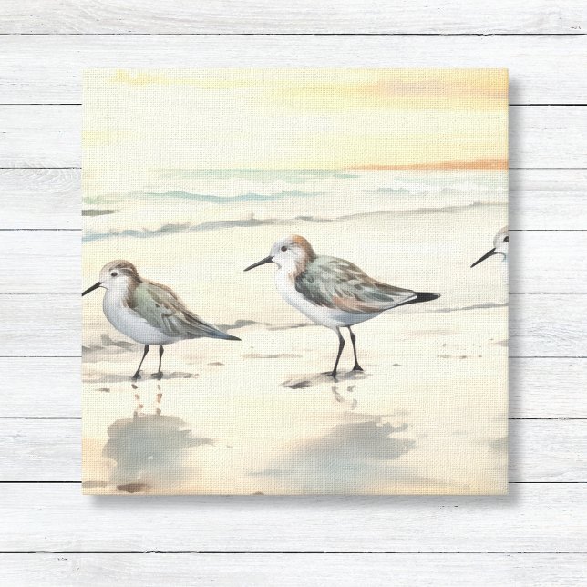 Toile Sandpipers sur la plage (Minimalist Sandpipers on Beach Coastal Beach Wall Art Canvas)