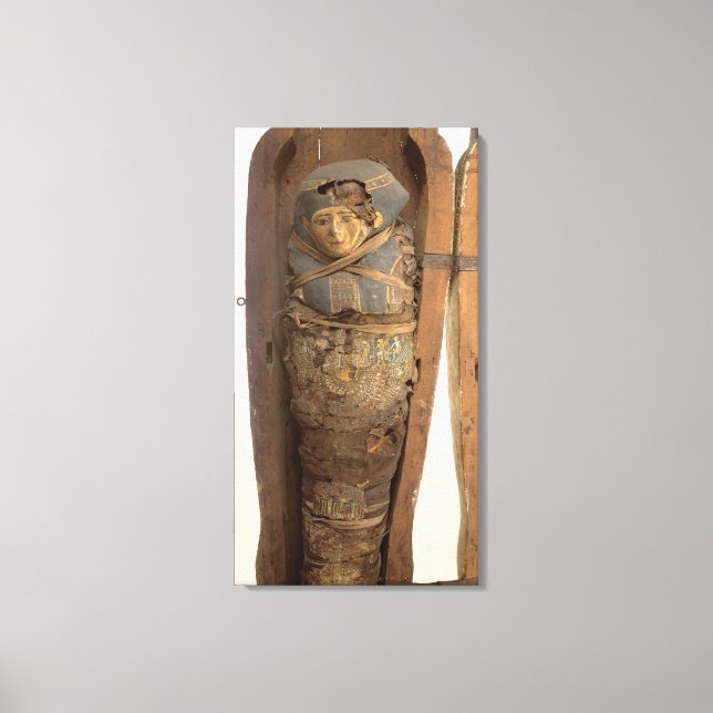 Toile Sarcophagus and mummified body of Psametic I (Recto)