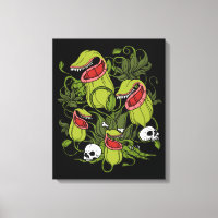 Sarracenia Plantes carnivores