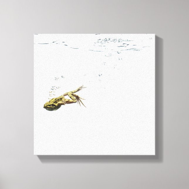 Toile saut de grenouille et plongée dans l'eau (Recto)