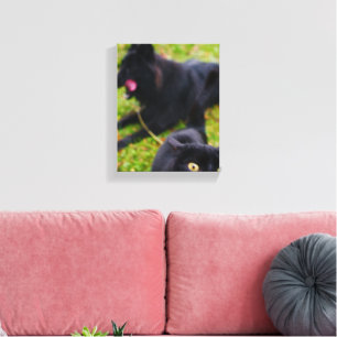 Toile Scène d'animaux typiques de chats et de chiens