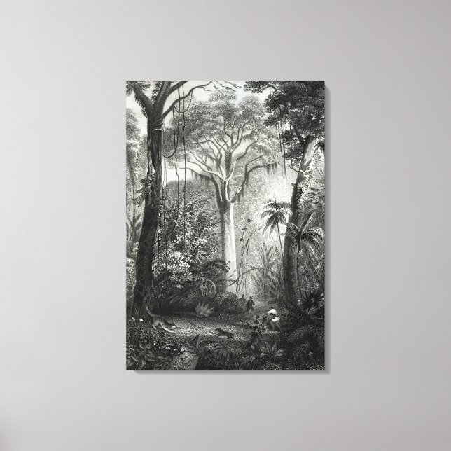 Toile Scène dans une forêt brésilienne gravée par (Recto)