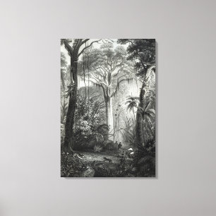 Toile Scène dans une forêt brésilienne gravée par