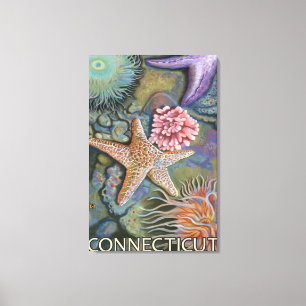 Toile Scène de ConnecticutTidepool