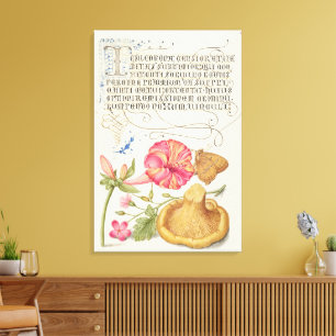 Toile Scène de jardin avec fleurs, papillon et champigno