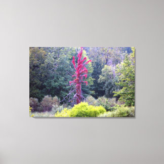 Toile Scène de la nature de l'arbre rouge (Impression de