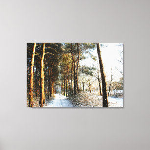 Toile Scène de neige forestière 36x24 (90x60cm) waccn