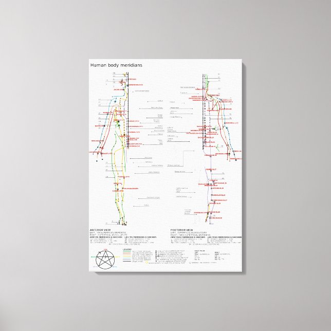 Toile Schéma chinois Corps humain Méridiens (Recto)