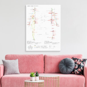 Toile Schéma des méridiens chinois du corps humain
