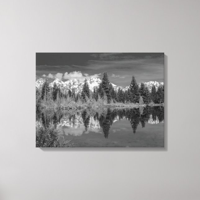 Toile Schwabacher Landing (Recto)