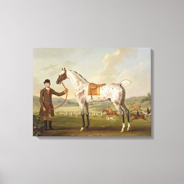 Toile Scipio, Colonel Roche's Spotted Hunter, vers 1750  (Recto)