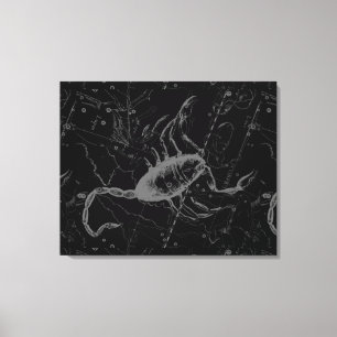 Toile Scorpio Constellation Hevelius 1690 sur Black