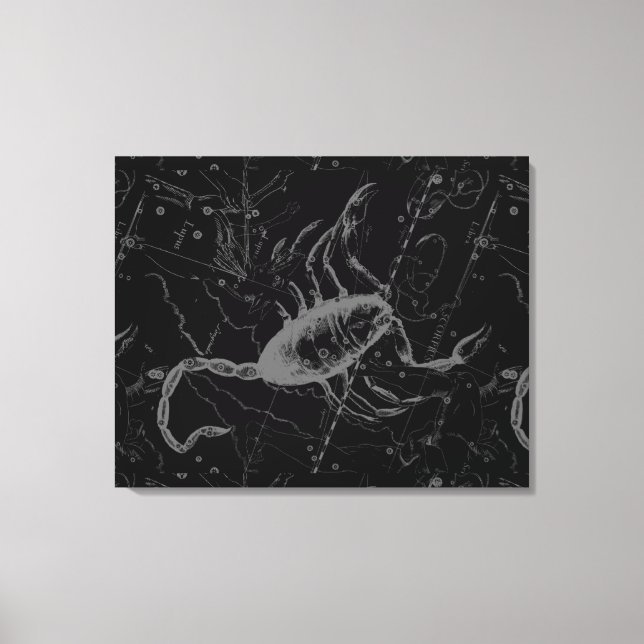 Toile Scorpio Constellation Hevelius 1690 sur Black (Recto)