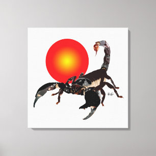 Toile scorpion