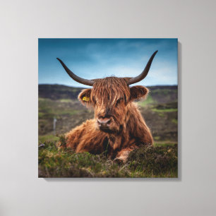 Toile Scottish Highland Cow Longhorn Bull Rancher