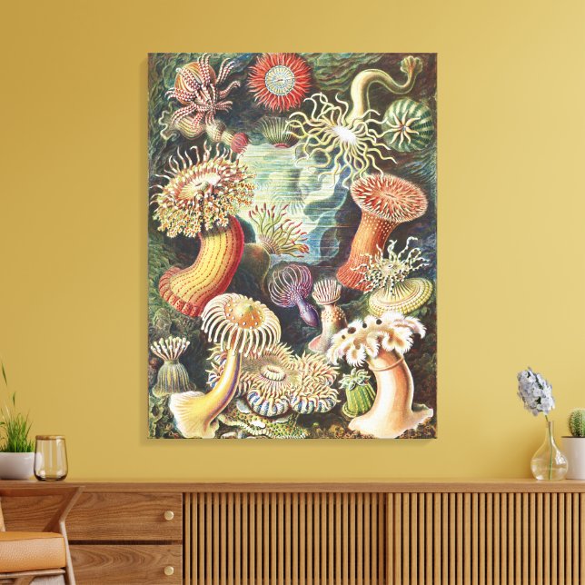 Toile Sea Anemone Scientific Nature Ocean (Insitu(Salon))