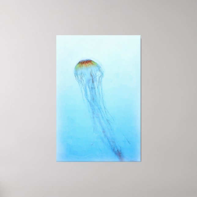 Toile Sea Nettle (Recto)