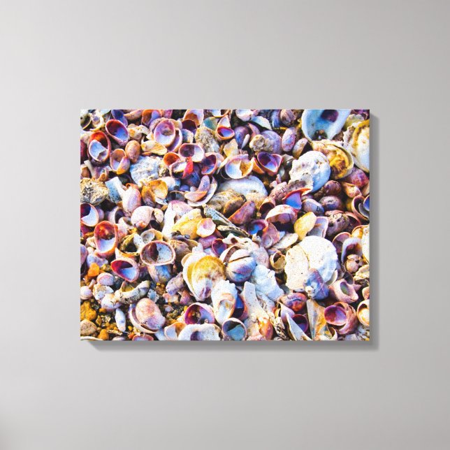 Toile Sea Shells (Recto)