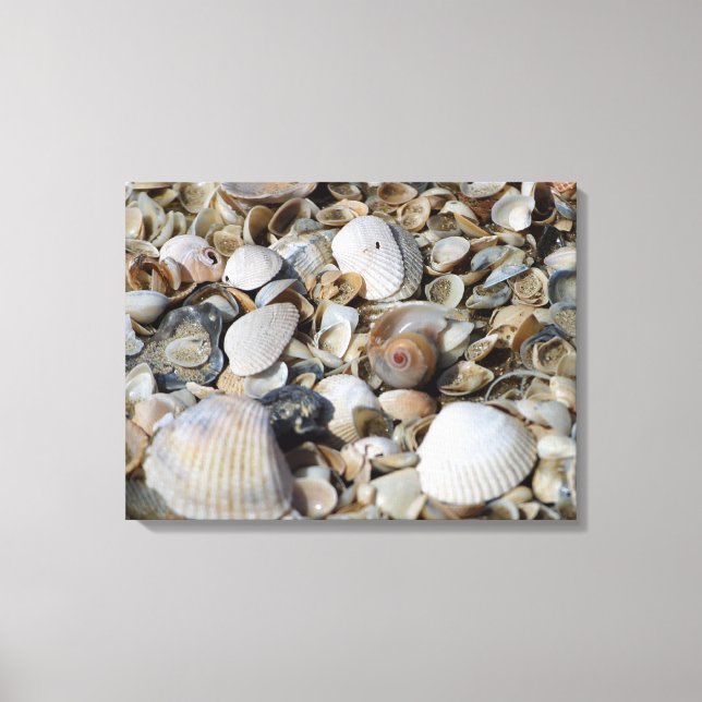 Toile Sea Shells Beach Scène Macro Photo Wall Art (Recto)