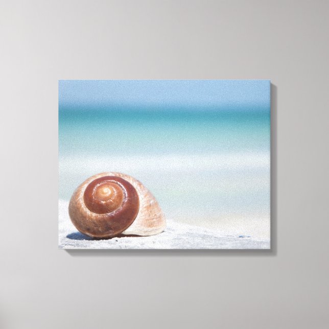 Toile Seashell | Saint-Pétersbourg, Floride (Recto)