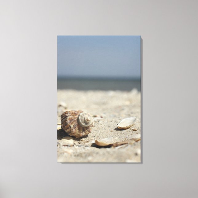 Toile Seashells On Sand By the Sea (Recto)