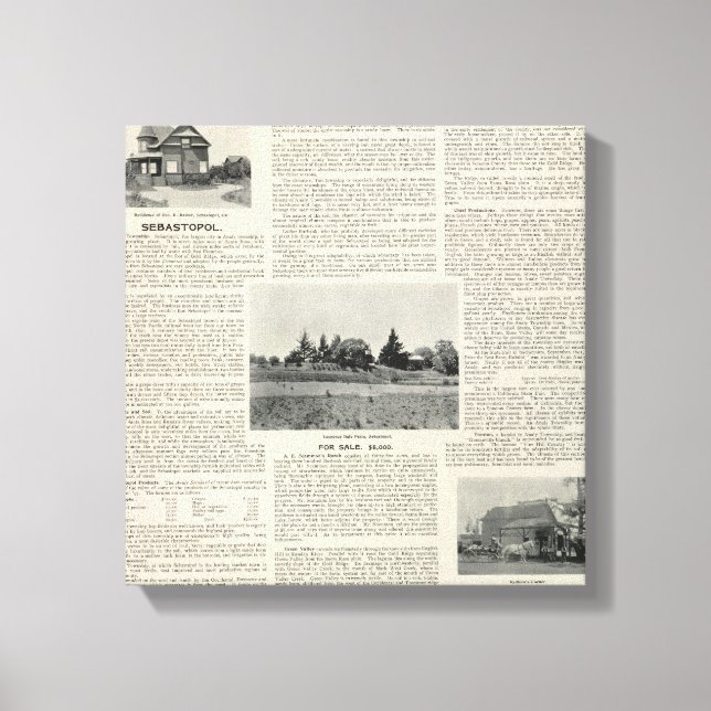 Toile Sebastopol, Californie (Recto)
