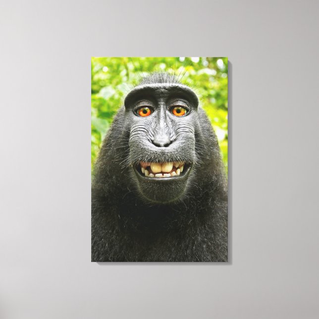 Toile Selfie de singe (Recto)