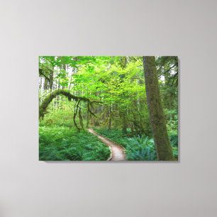 Toile Sentier des bosquets anciens du parc national Olym