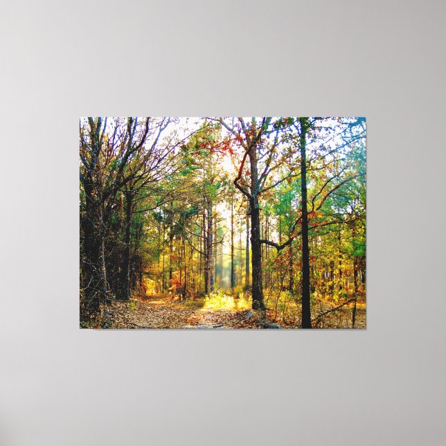 Toile Sentier forestier ensoleillé en automne (Recto)