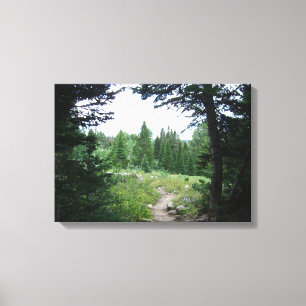 Toile Sentier Grand Teton