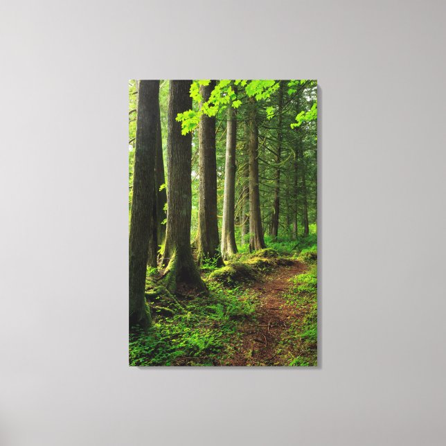 Toile Sentier Scénique de la Forêt Verte (Recto)
