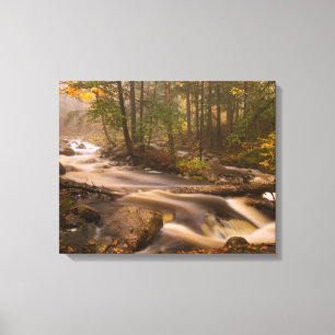 Toile Sentiers coulants sur le sentier des Appalaches