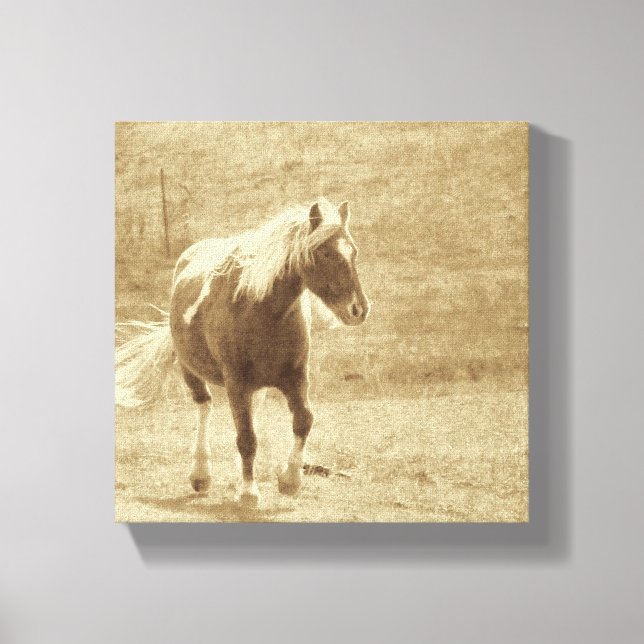 Toile Sepia Pinto Pony (Recto)