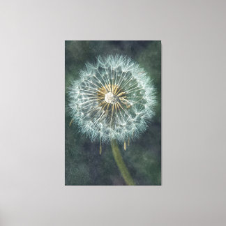 Toile Serene Dandelion Canvas Art - Un inspecteur de la
