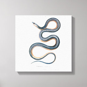 Toile Serpent vintage de nouveau d'art de victorian de