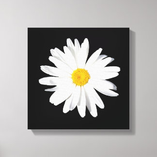 Toile Shasta Blanc Daisy Imprimer Décor Mur