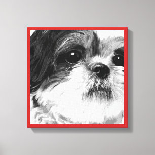 Toile Shih Tzu