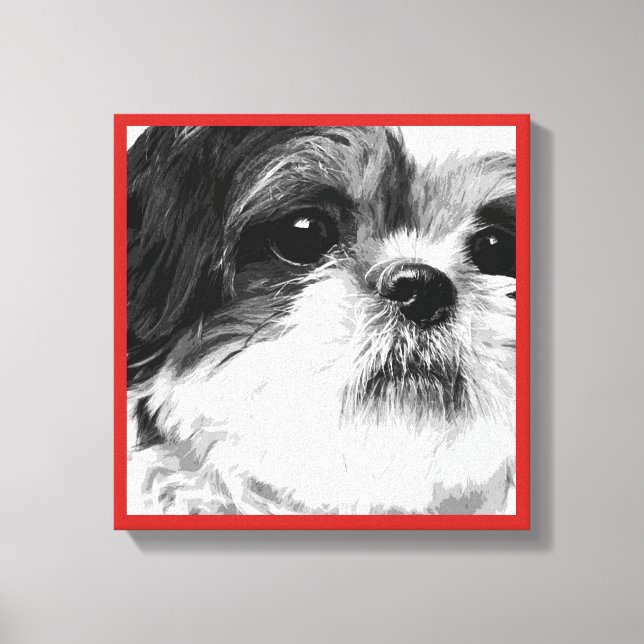 Toile Shih Tzu (Recto)
