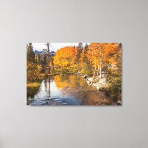 Toile Sierra orientale, Bishop Creek, sortie de Californ