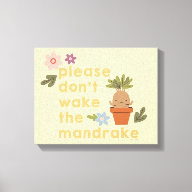 Toile S'il vous plaît ne réveillez pas le Mandrake (Recto)