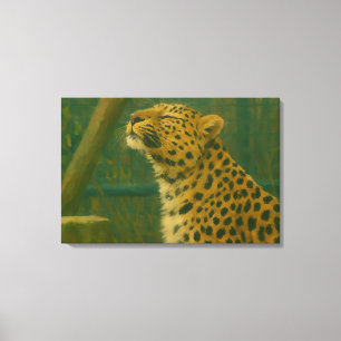 Toile Silence éclairé - Leopard au repos dans la lumière