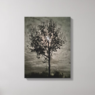 Toile Silence Lumineux : Une Nuit de Pleine Lune