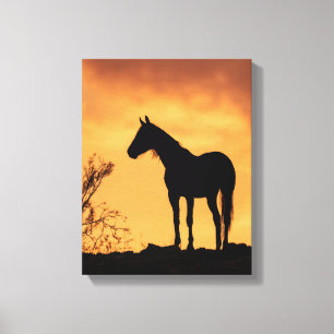 Toile Silhouette de cheval dans un ciel de coucher de so