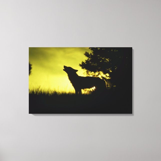 Toile Silhouette de loup hurlant (Recto)