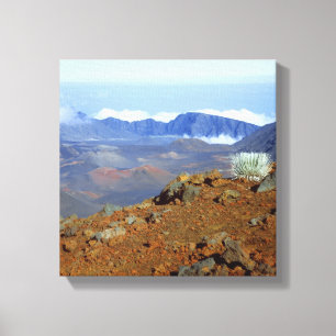 Toile Silversword sur le bord du cratère Haleakala depui