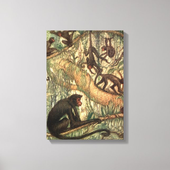 Toile Singe araignée à face rouge de Louis Sargent (Recto)