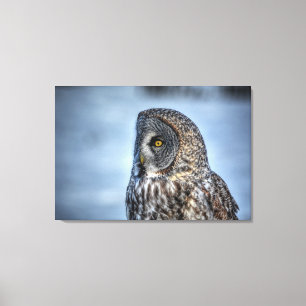 Toile Sitting Great Grey Owl Faune Portrait III